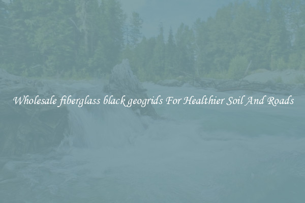 Wholesale fiberglass black geogrids For Healthier Soil And Roads