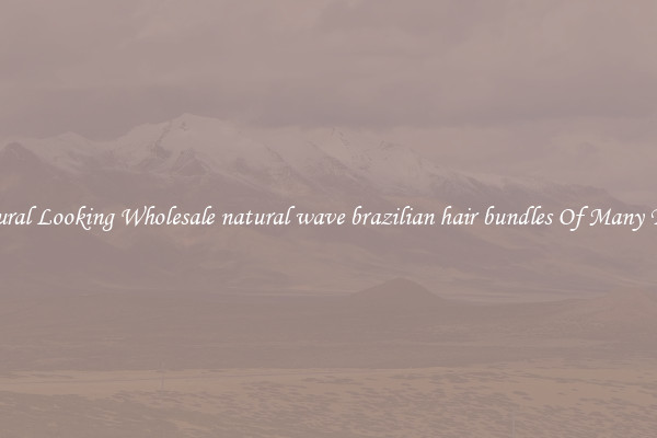 Natural Looking Wholesale natural wave brazilian hair bundles Of Many Types