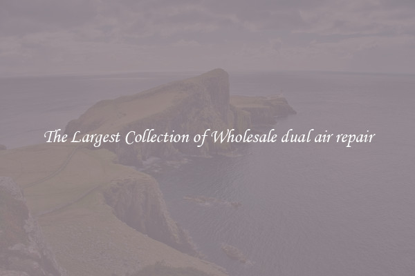 The Largest Collection of Wholesale dual air repair