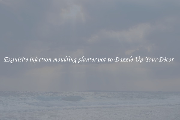 Exquisite injection moulding planter pot to Dazzle Up Your Décor  