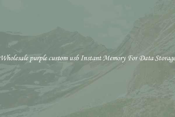 Wholesale purple custom usb Instant Memory For Data Storage