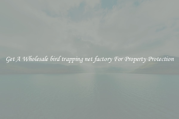 Get A Wholesale bird trapping net factory For Property Protection