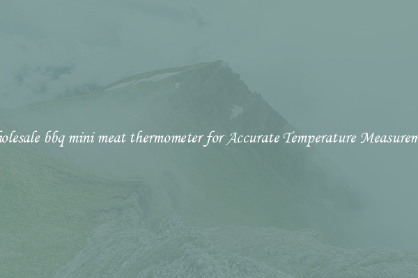 Wholesale bbq mini meat thermometer for Accurate Temperature Measurement