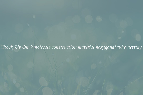 Stock Up On Wholesale construction material hexagonal wire netting
