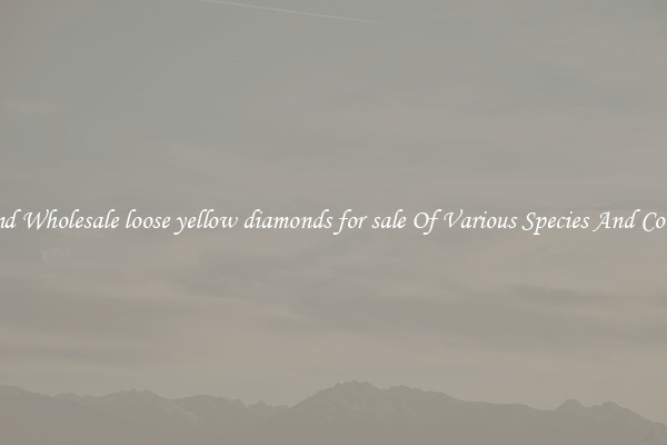 Find Wholesale loose yellow diamonds for sale Of Various Species And Colors