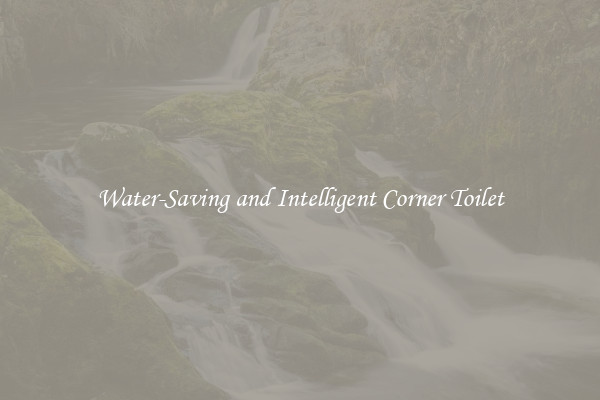Water-Saving and Intelligent Corner Toilet