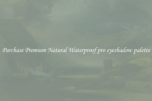 Purchase Premium Natural Waterproof pro eyeshadow palette
