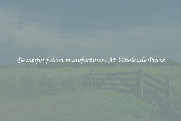 Beautiful falcon manufacturers At Wholesale Prices