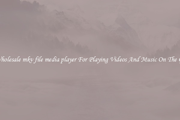 Wholesale mkv file media player For Playing Videos And Music On The Go