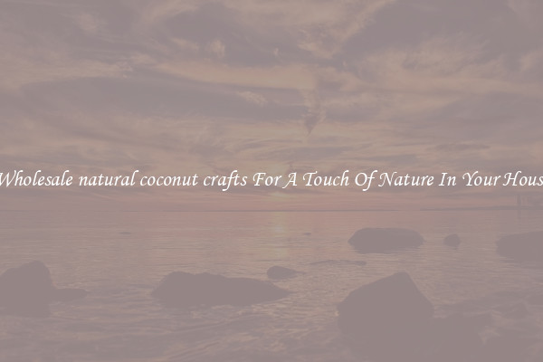 Wholesale natural coconut crafts For A Touch Of Nature In Your House