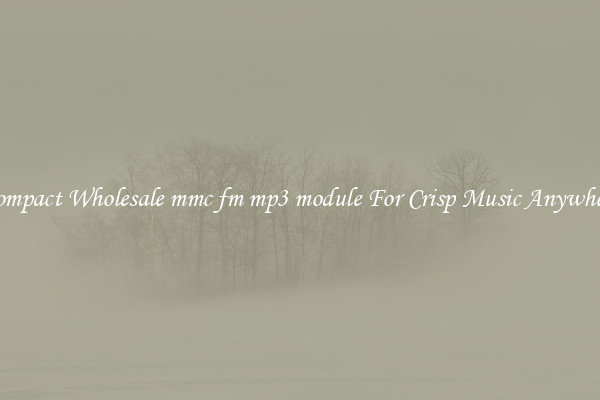 Compact Wholesale mmc fm mp3 module For Crisp Music Anywhere
