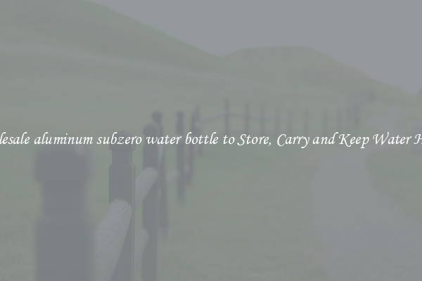 Wholesale aluminum subzero water bottle to Store, Carry and Keep Water Handy