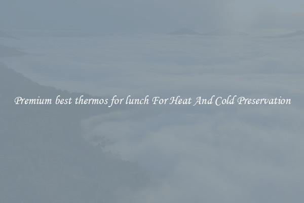 Premium best thermos for lunch For Heat And Cold Preservation